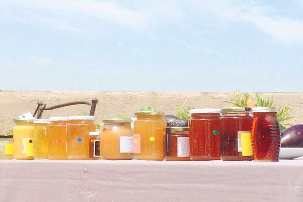 Taller d'apicultura i tast de mels